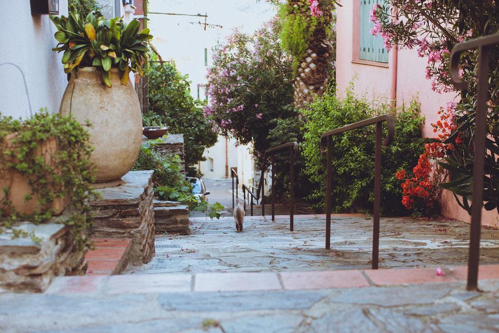 Regina'S Banyuls - Spatious Apartment Next To The Beach Exteriör bild